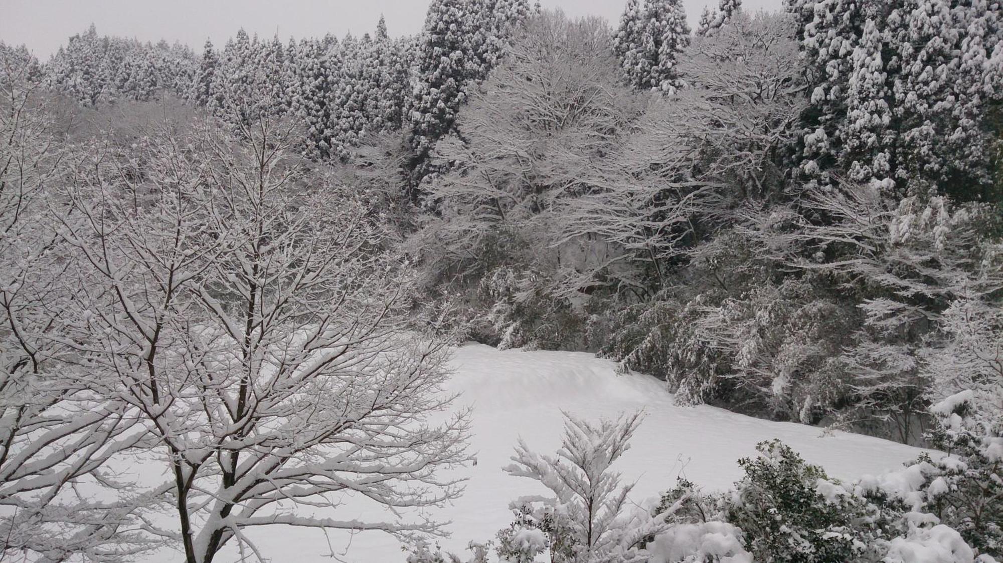 Kurokawa Onsen Ryokan Ichinoi Minamioguni Kültér fotó